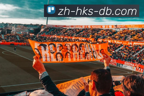 DB真人官网平台生态图